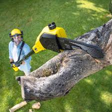 Best Tree Removal Services  in Mobile, AL